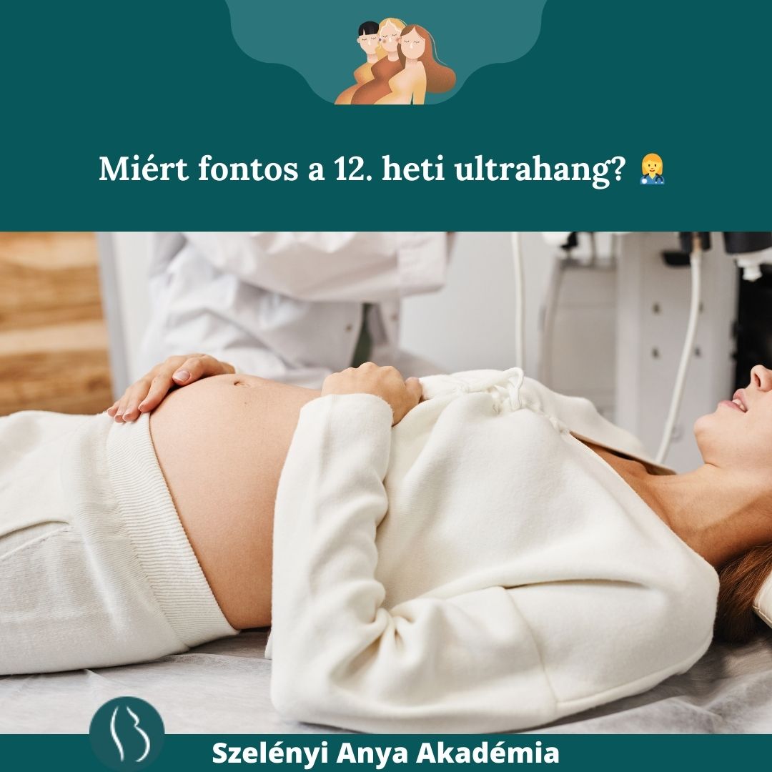12. heti genetikai ultrahang